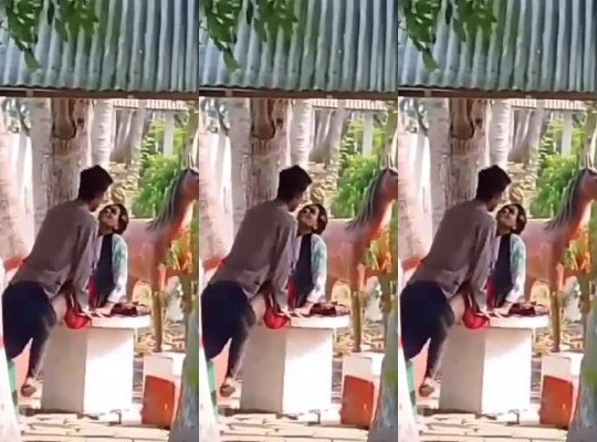 Lovers Fucking In Park